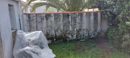 traitement_des_mousses_sur_muret_rennes_par_voltac_drone_rennes